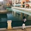 shaylam523